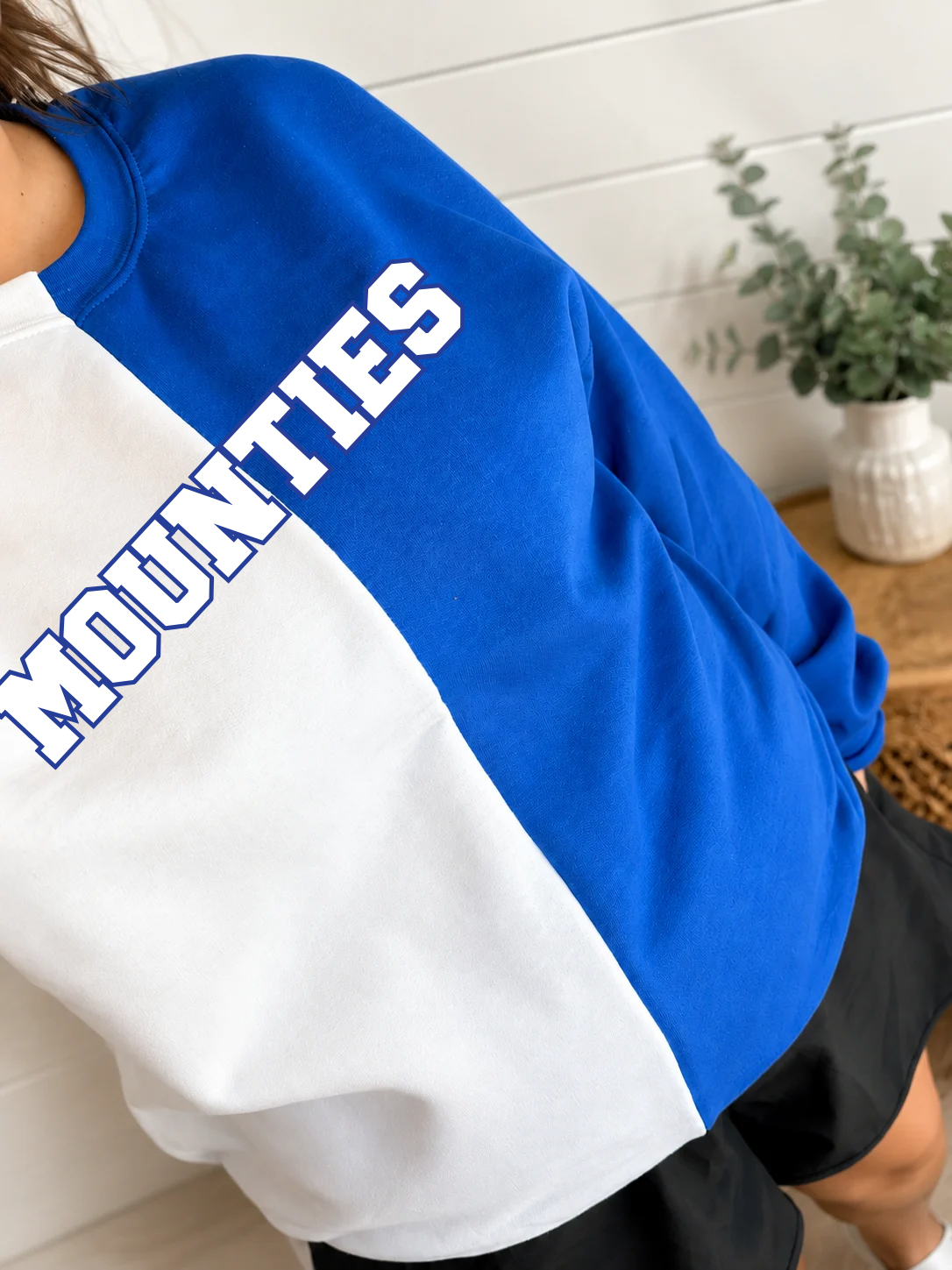 Colorblock Crewneck Sweatshirt